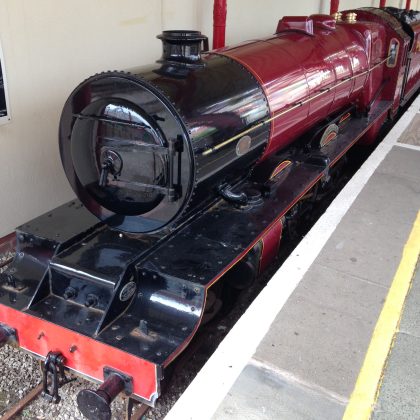 Pleasure Beach Express